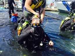 Special Operations - image of dive rescue team preparing for drill