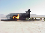 annual live-fire burn training - Cick for larger version